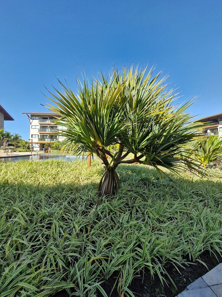 Flat Beira Mar em Muro Alto - La Fleur Polinesia